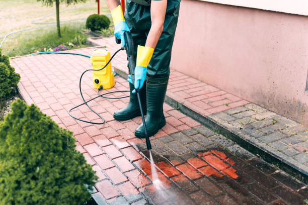 Best Driveway Pressure Washing  in Bellerose, NY